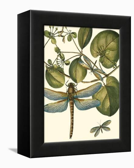 Dragonfly Medley I-null-Framed Stretched Canvas