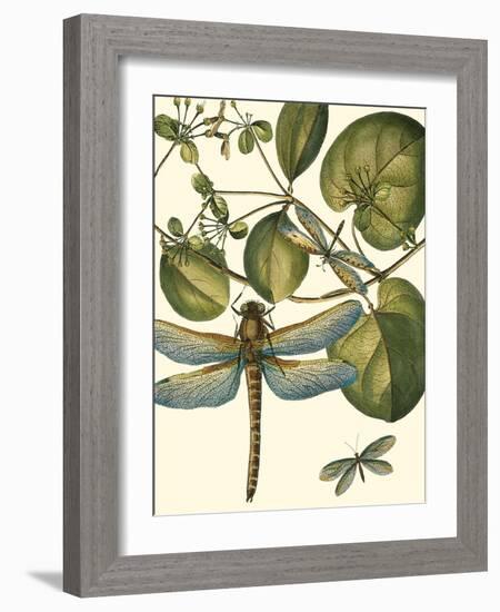 Dragonfly Medley I-null-Framed Art Print