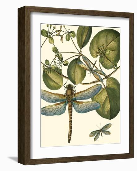 Dragonfly Medley I-null-Framed Art Print