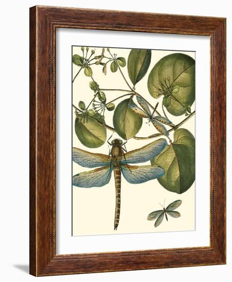 Dragonfly Medley I-null-Framed Art Print