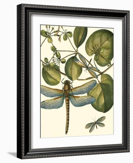 Dragonfly Medley I-null-Framed Art Print