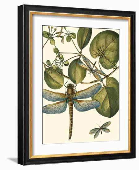 Dragonfly Medley I-null-Framed Art Print