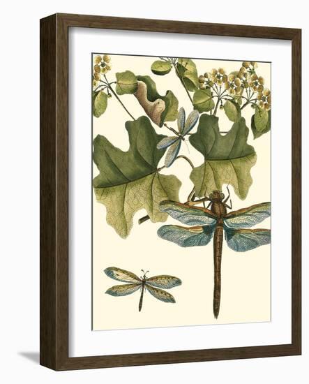 Dragonfly Medley II-null-Framed Art Print