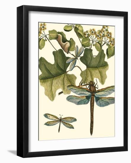 Dragonfly Medley II-null-Framed Art Print