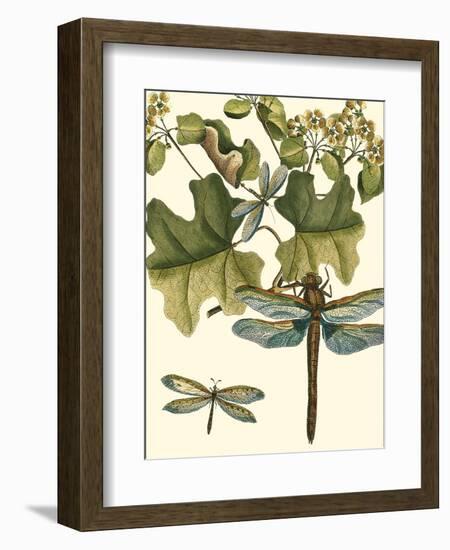 Dragonfly Medley II-null-Framed Art Print