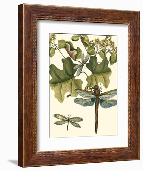 Dragonfly Medley II-null-Framed Art Print