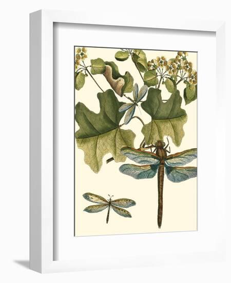 Dragonfly Medley II-null-Framed Art Print