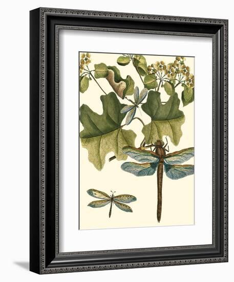 Dragonfly Medley II-null-Framed Art Print