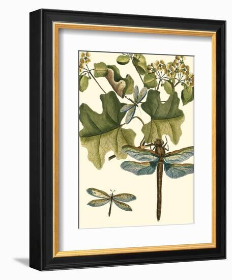 Dragonfly Medley II-null-Framed Art Print