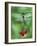 Dragonfly on Branch-Nancy Rotenberg-Framed Photographic Print