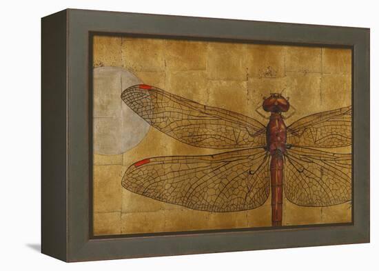 Dragonfly on Gold-Patricia Pinto-Framed Stretched Canvas