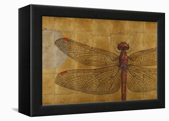 Dragonfly on Gold-Patricia Pinto-Framed Stretched Canvas