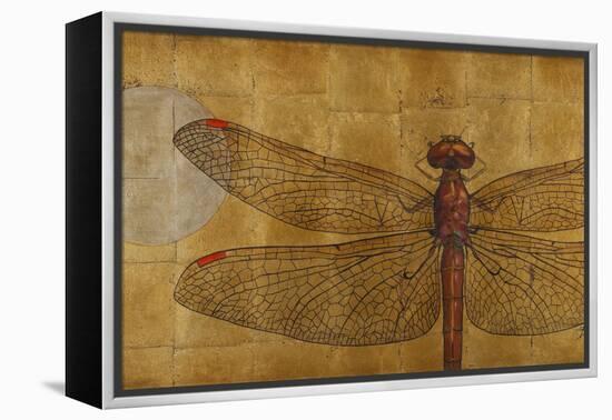 Dragonfly on Gold-Patricia Pinto-Framed Stretched Canvas