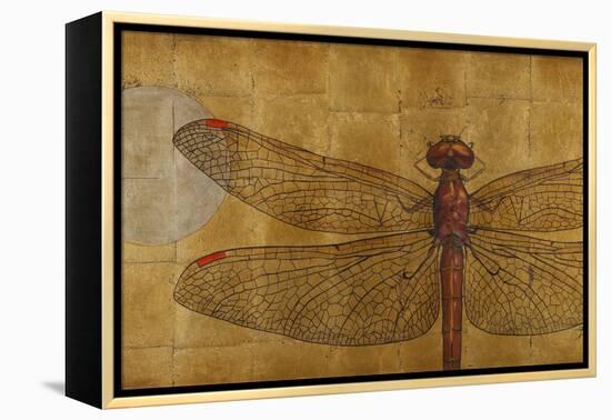 Dragonfly on Gold-Patricia Pinto-Framed Stretched Canvas