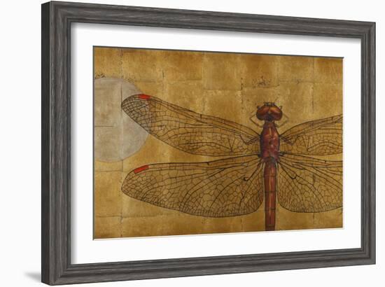 Dragonfly on Gold-Patricia Pinto-Framed Art Print