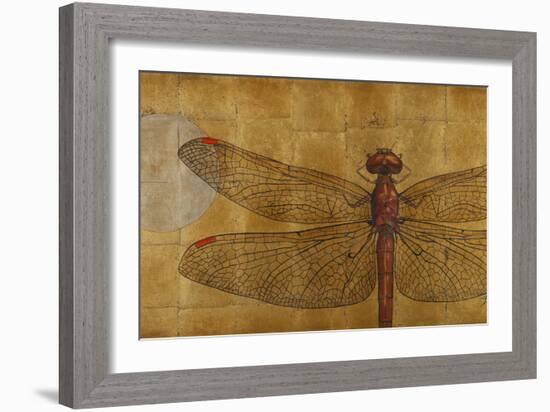 Dragonfly on Gold-Patricia Pinto-Framed Art Print