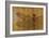 Dragonfly on Gold-Patricia Pinto-Framed Art Print