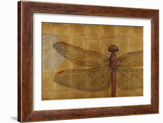 Dragonfly on Gold-Patricia Pinto-Framed Art Print