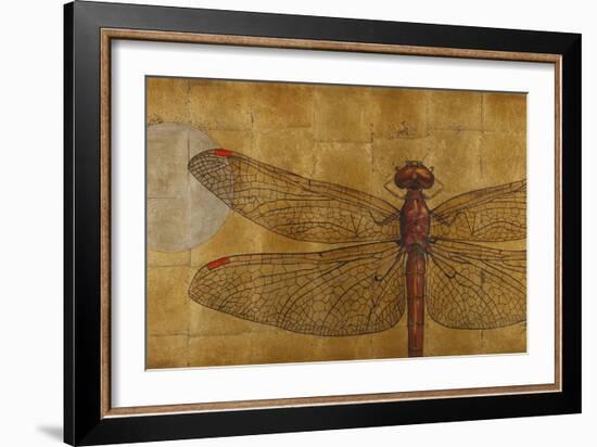 Dragonfly on Gold-Patricia Pinto-Framed Art Print