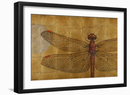 Dragonfly on Gold-Patricia Pinto-Framed Art Print