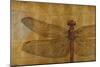 Dragonfly on Gold-Patricia Pinto-Mounted Art Print