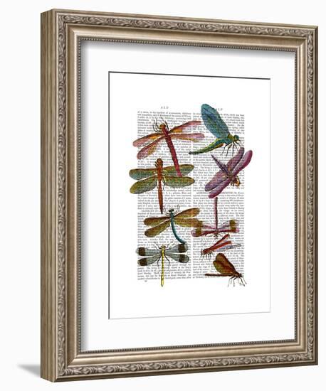 Dragonfly Print 3-Fab Funky-Framed Art Print