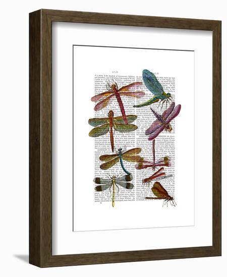 Dragonfly Print 3-Fab Funky-Framed Art Print