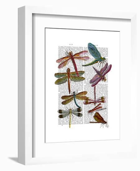Dragonfly Print 3-Fab Funky-Framed Art Print