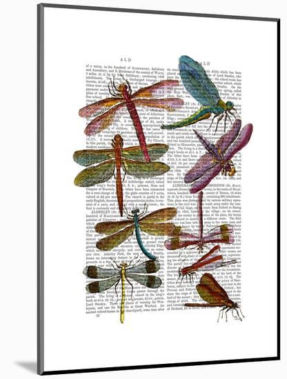 Dragonfly Print 3-Fab Funky-Mounted Art Print