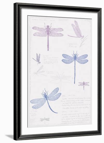 Dragonfly Sketchbook-Maria Mendez-Framed Giclee Print