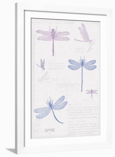 Dragonfly Sketchbook-Maria Mendez-Framed Giclee Print