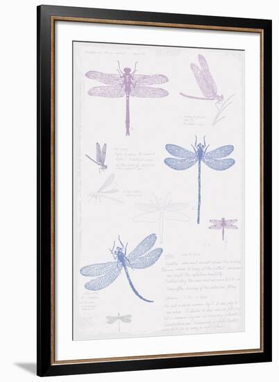 Dragonfly Sketchbook-Maria Mendez-Framed Giclee Print