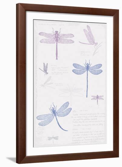 Dragonfly Sketchbook-Maria Mendez-Framed Giclee Print