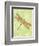 Dragonfly Wings-Bee Sturgis-Framed Art Print