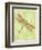 Dragonfly Wings-Bee Sturgis-Framed Art Print