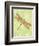 Dragonfly Wings-Bee Sturgis-Framed Art Print