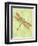 Dragonfly Wings-Bee Sturgis-Framed Art Print