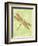 Dragonfly Wings-Bee Sturgis-Framed Art Print