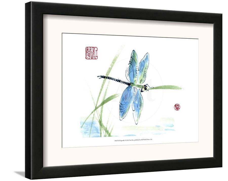 Dragonfly Framed Art Print By Nan Rae Com Dragonflyby Nan Rae