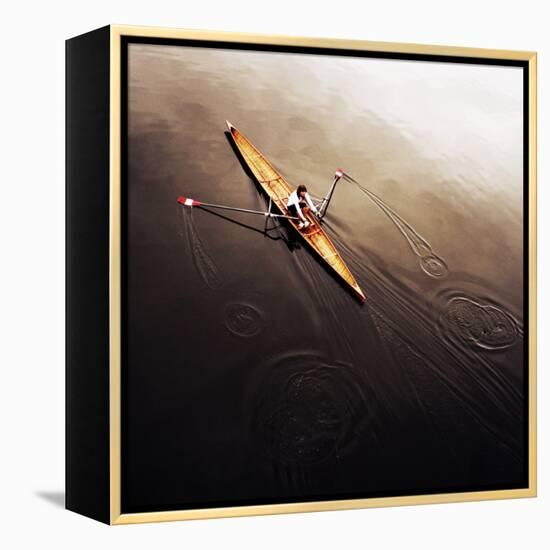 Dragonfly-Fulvio Pellegrini-Framed Premier Image Canvas