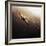 Dragonfly-Fulvio Pellegrini-Framed Photographic Print