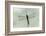 Dragonfly-Gary Carter-Framed Photographic Print