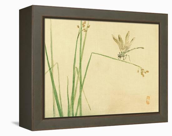 Dragonfly-Bairei Kono-Framed Premier Image Canvas