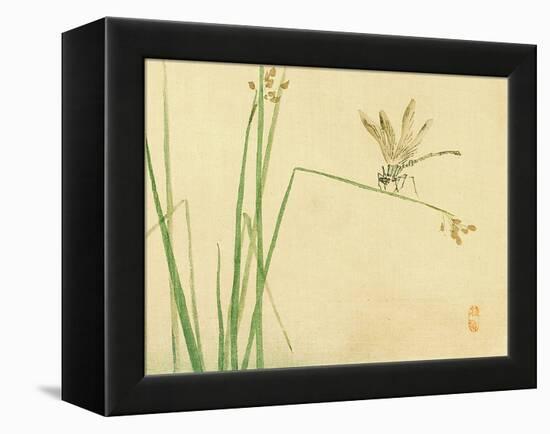 Dragonfly-Bairei Kono-Framed Premier Image Canvas