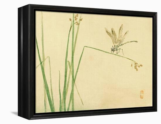 Dragonfly-Bairei Kono-Framed Premier Image Canvas