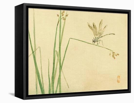 Dragonfly-Bairei Kono-Framed Premier Image Canvas