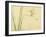 Dragonfly-Bairei Kono-Framed Giclee Print