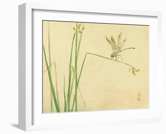 Dragonfly-Bairei Kono-Framed Giclee Print