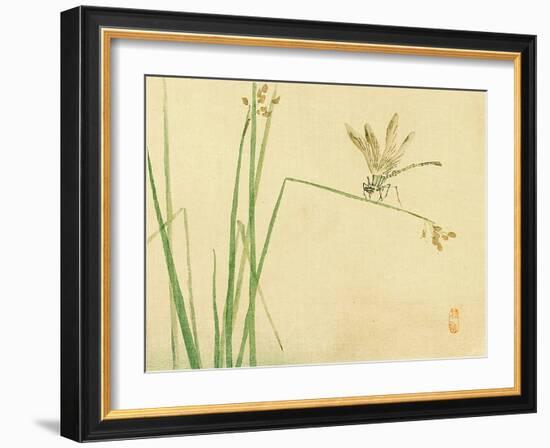 Dragonfly-Bairei Kono-Framed Giclee Print