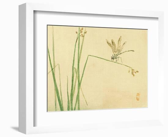 Dragonfly-Bairei Kono-Framed Giclee Print